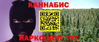 индика Лесосибирск