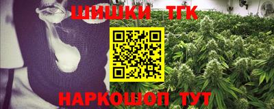 индика Лесосибирск