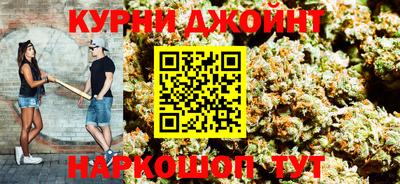 индика Лесосибирск