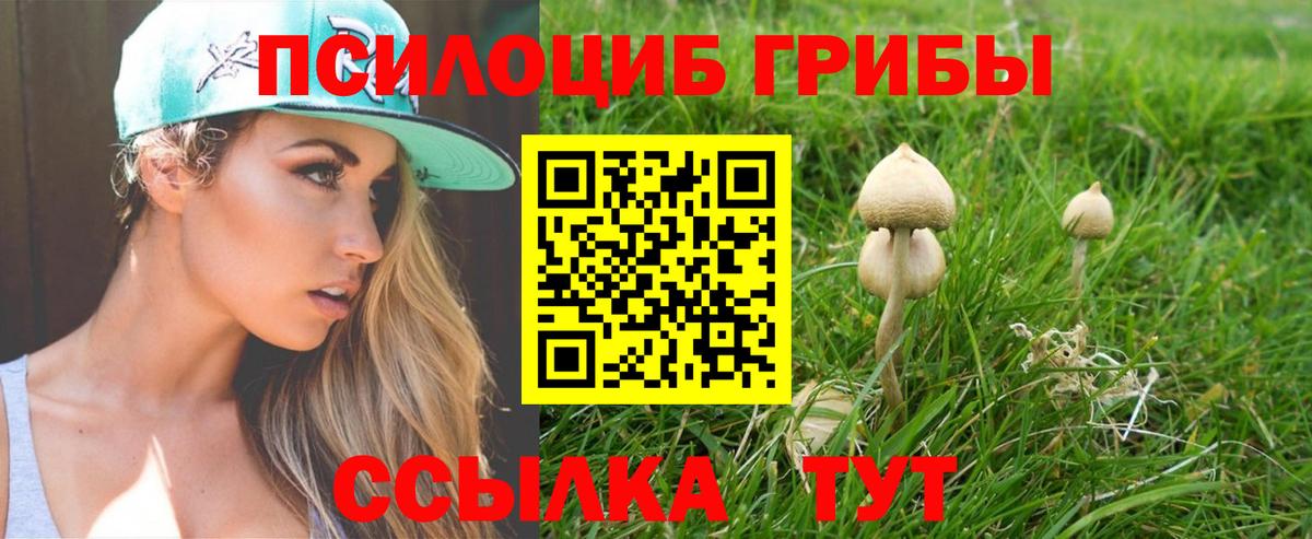 Еманжелинск  Галлюциногенные грибы ЛСД  закладки  Вход с VPN 